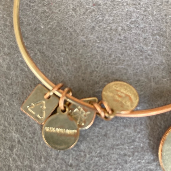 Alex and Ani Goldtone Bracelet with Charms - Picture 5 of 5